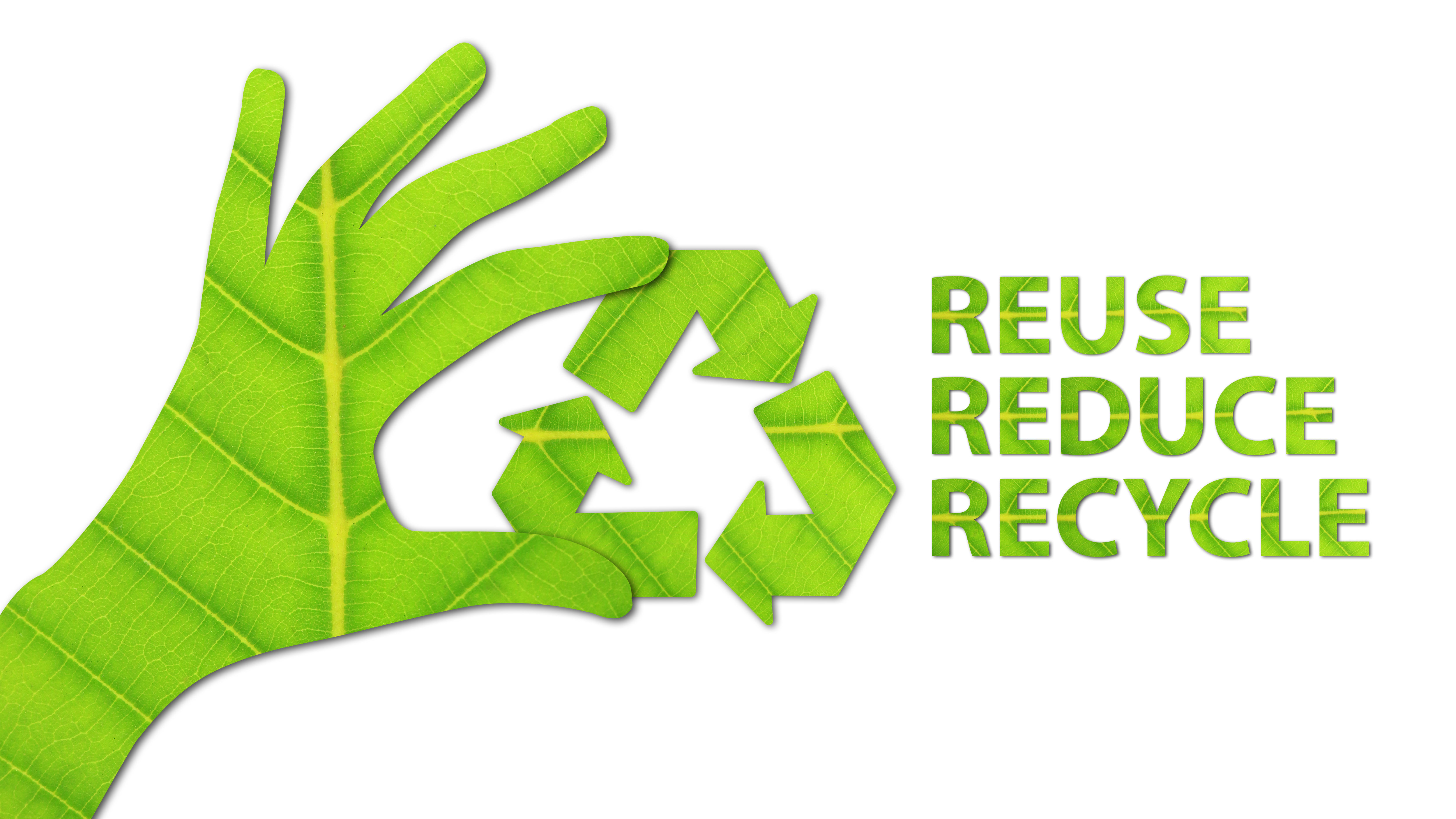 Do Recyclables Really Get Recycled At Joyce Morris Blog